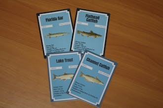 NFTs fishing - catch your rare NFT fish! gallery image