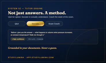 StudyLumina gallery image