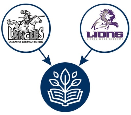 Intulse gallery image