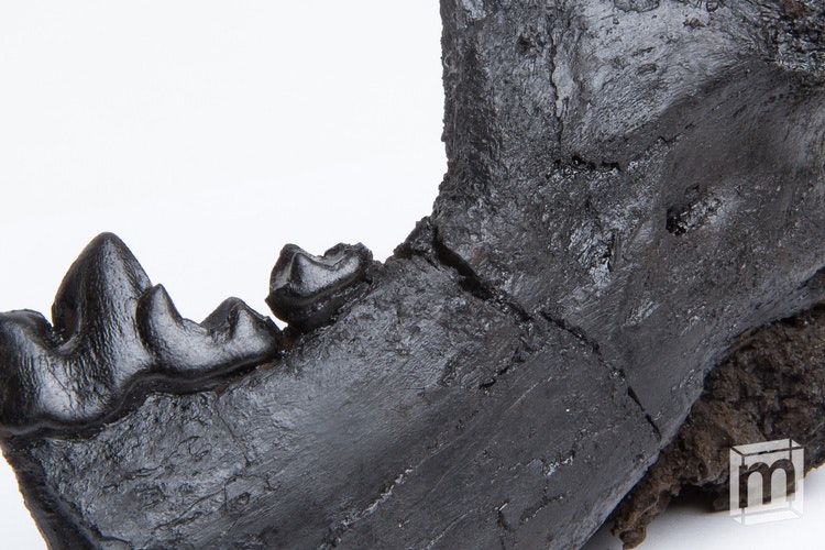 Mini Museum 3 gallery image