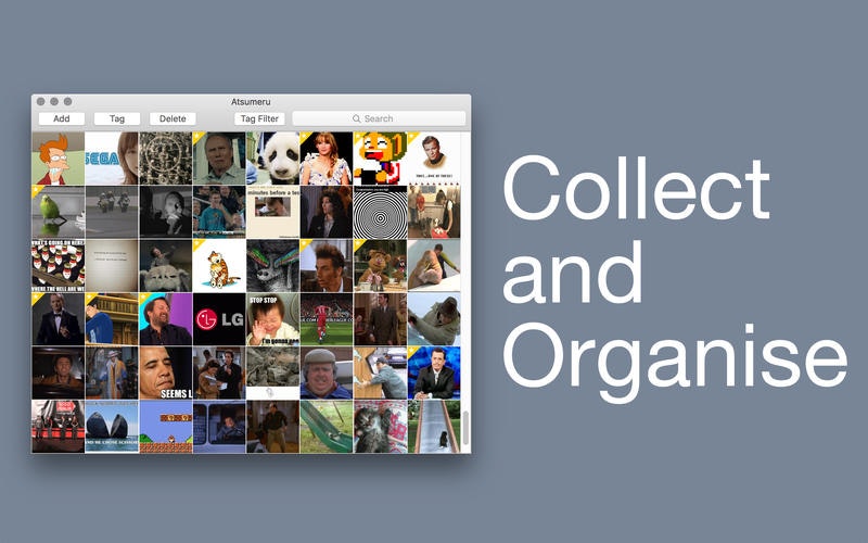 Never Read gallery image