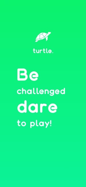 Turtle gallery image