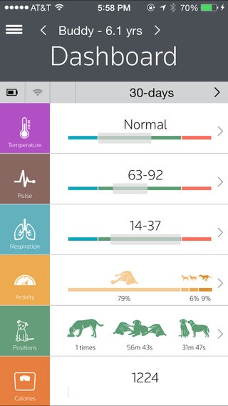 Pet Pace gallery image