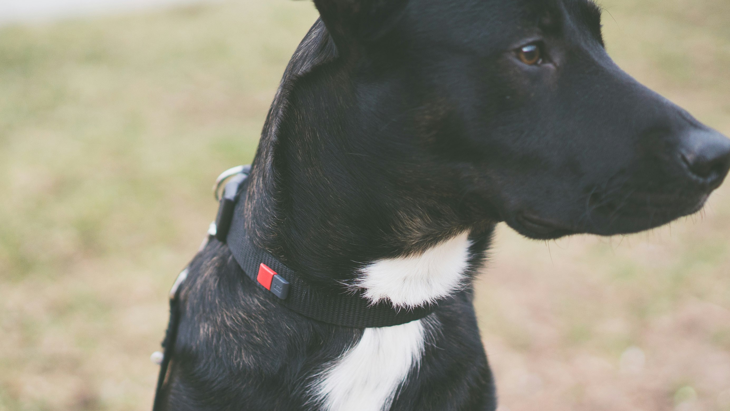 Mu tag gallery image