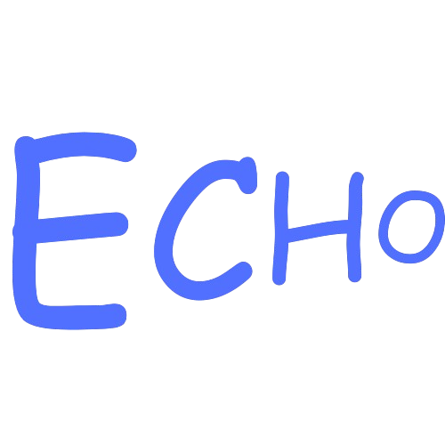 Daily Echo Game logo