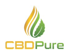 Cannabidiol Cream gallery image