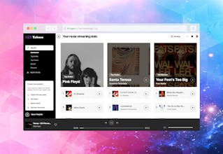 Echoes for Music Discovery gallery image