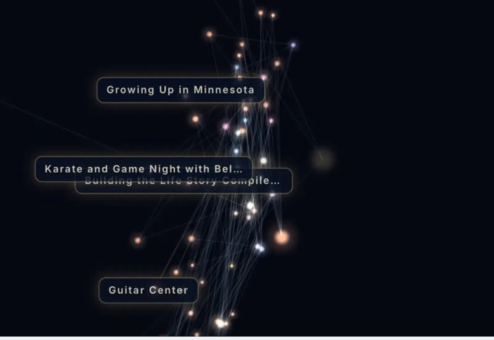 Life Story Compiler screenshot 4