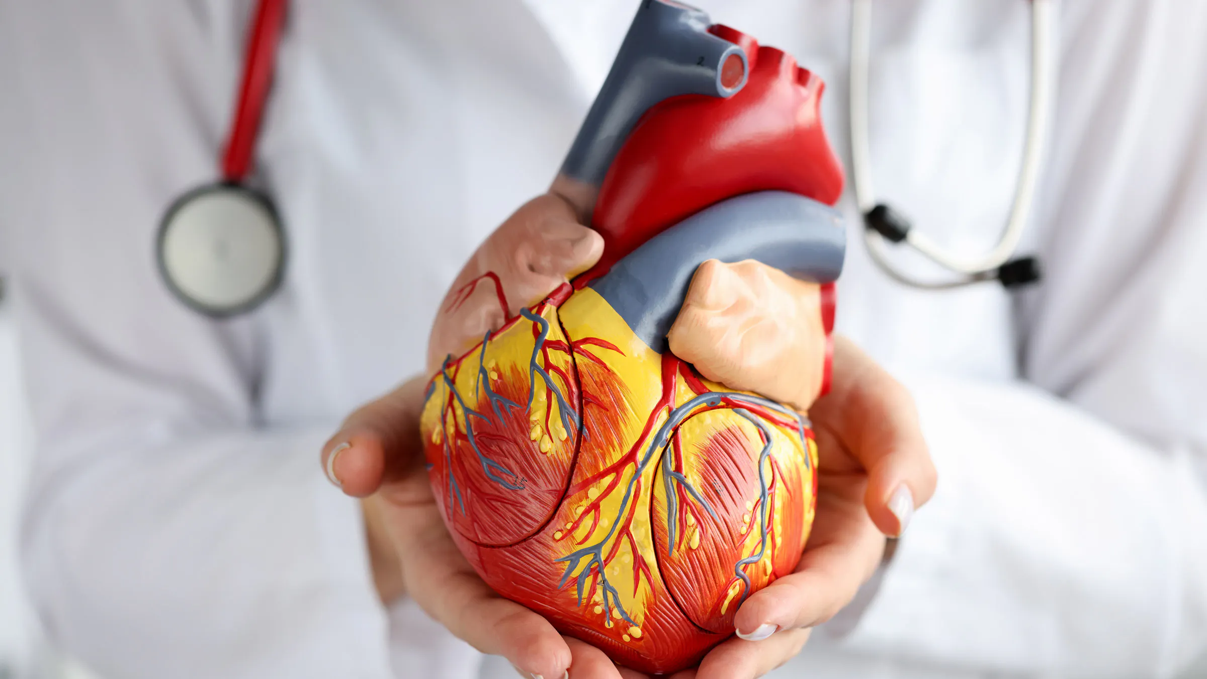 Kare Partners Heart Centre gallery image