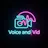 Voice and Vid