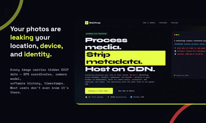 MediaForge screenshot 2