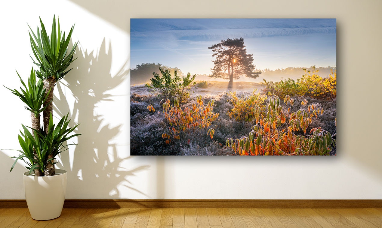 Xpozer: Frame + Prints gallery image