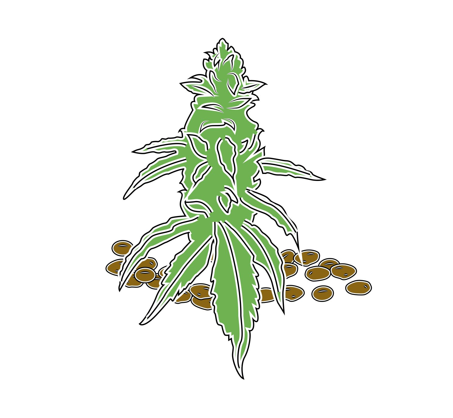 Nuvelio Naturals gallery image