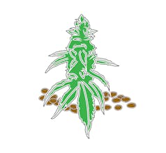 Nuvelio Naturals gallery image