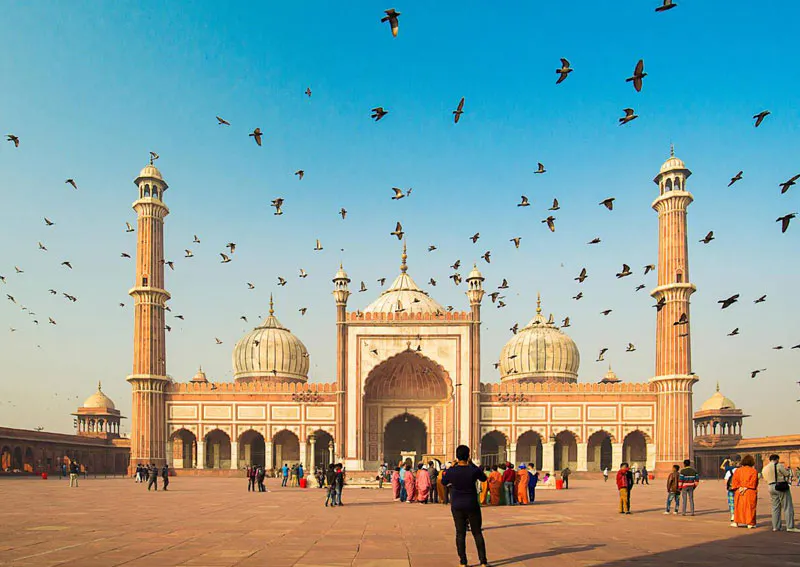 India Golden Triangle Tour screenshot 13