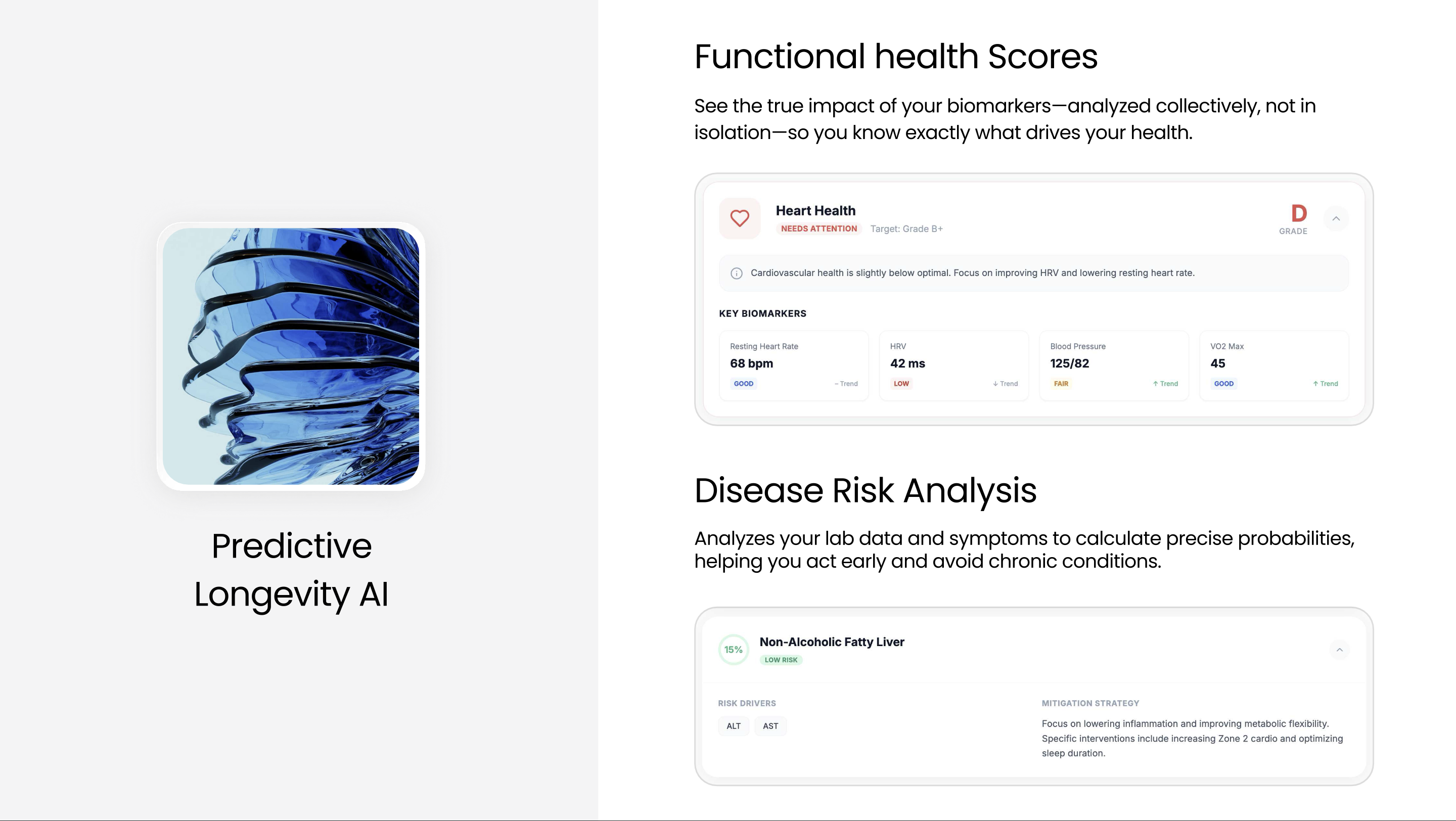 Nostavia gallery image