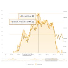 AlphaSquared gallery image