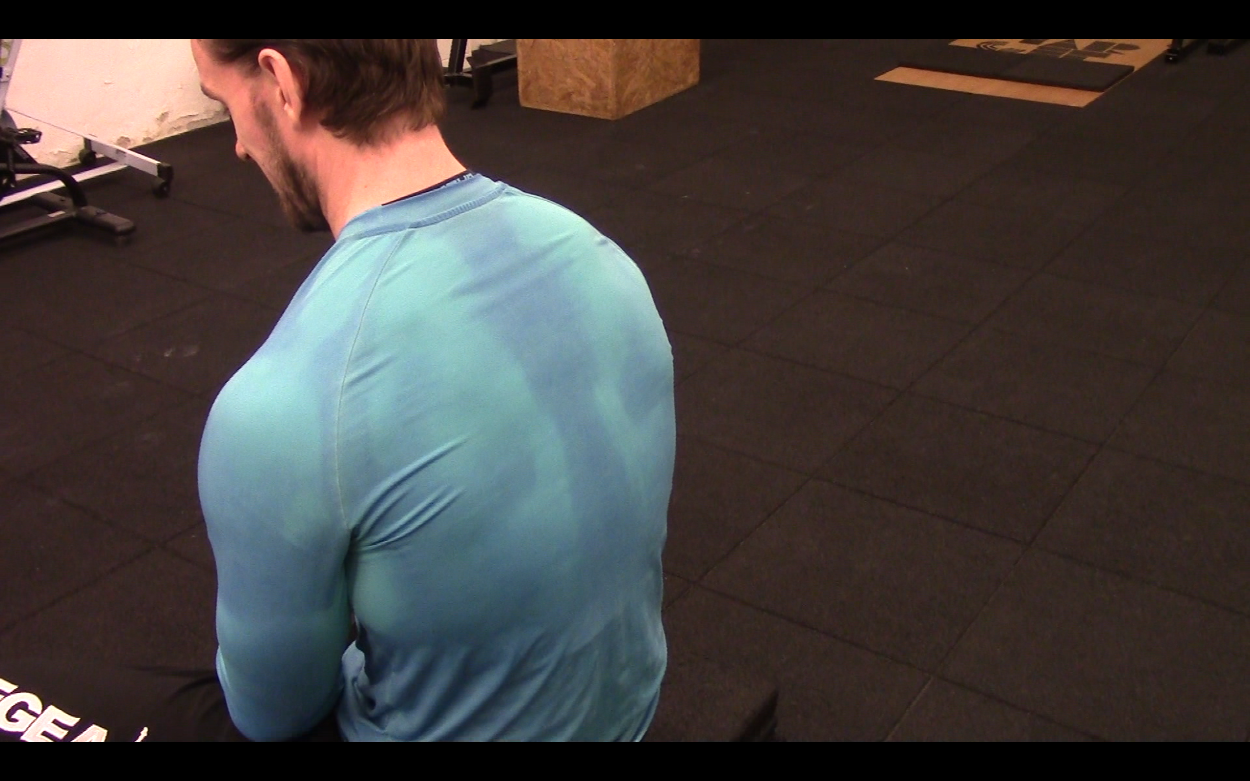 Sportshark gallery image