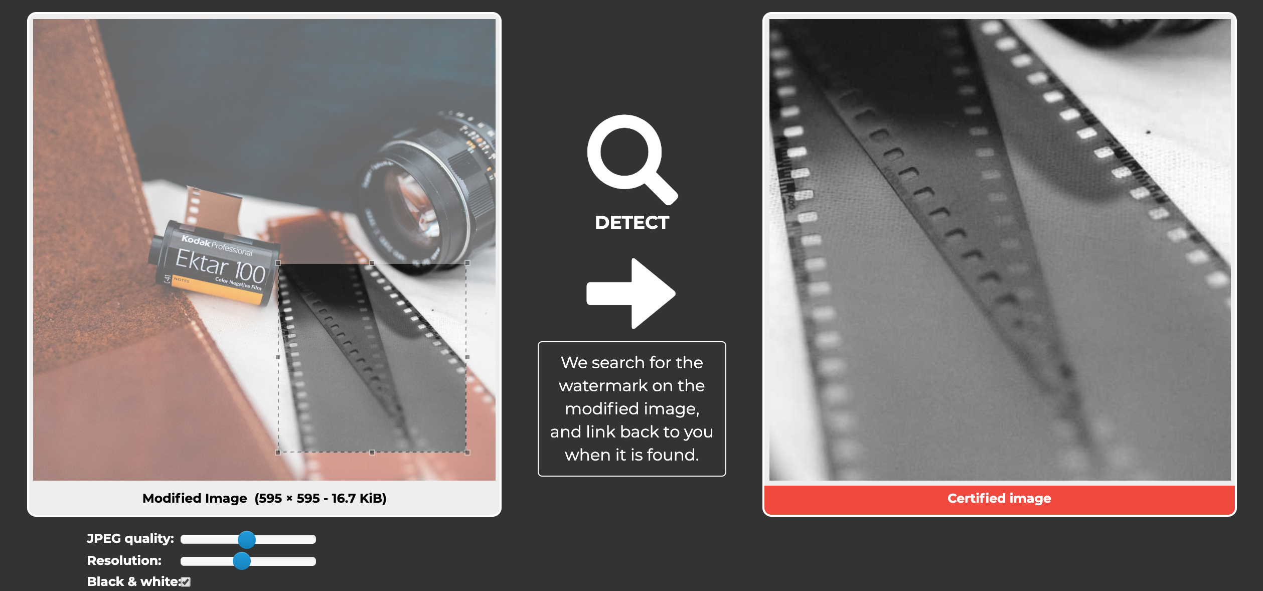 Imatag gallery image