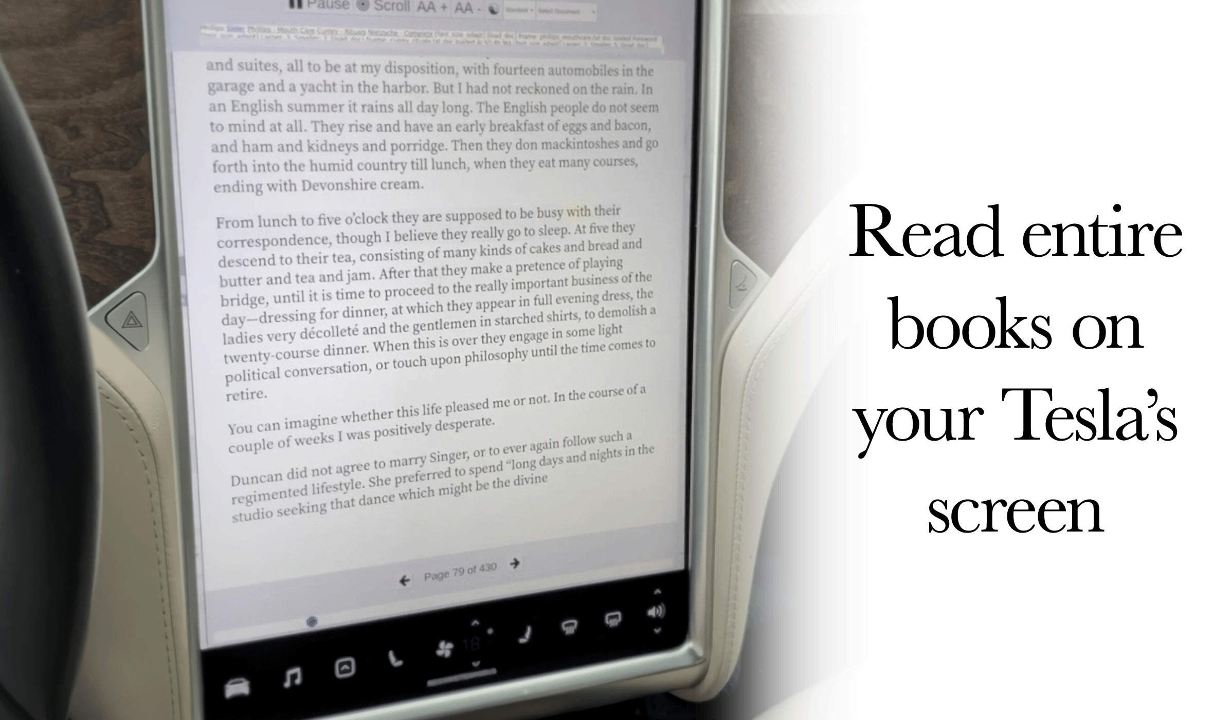 Tesla Reader gallery image