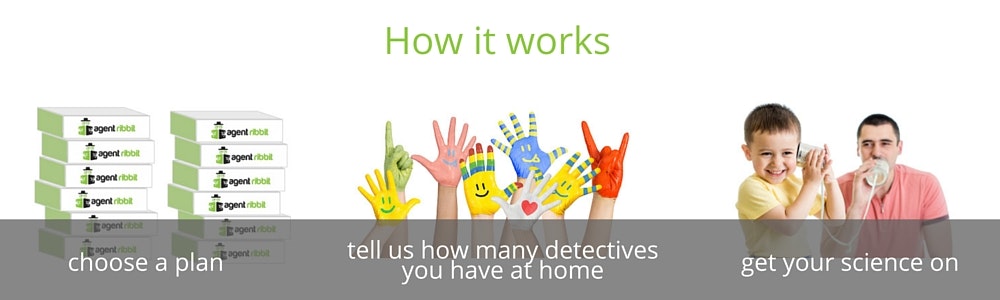 Agent Ribbit gallery image