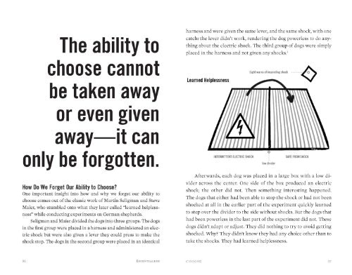 Essentialism gallery image