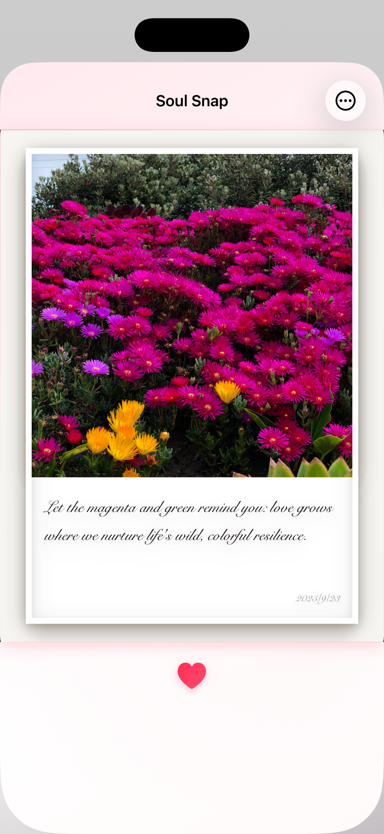 SoulSnap gallery image