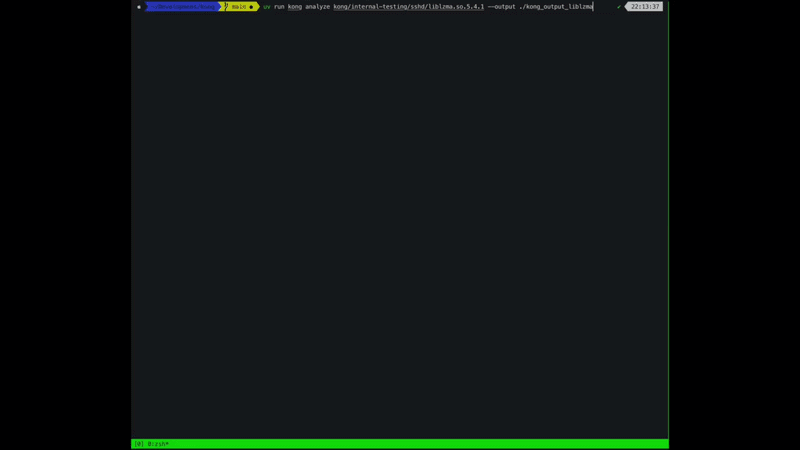 Kong: Agentic Reverse Engineering media 2