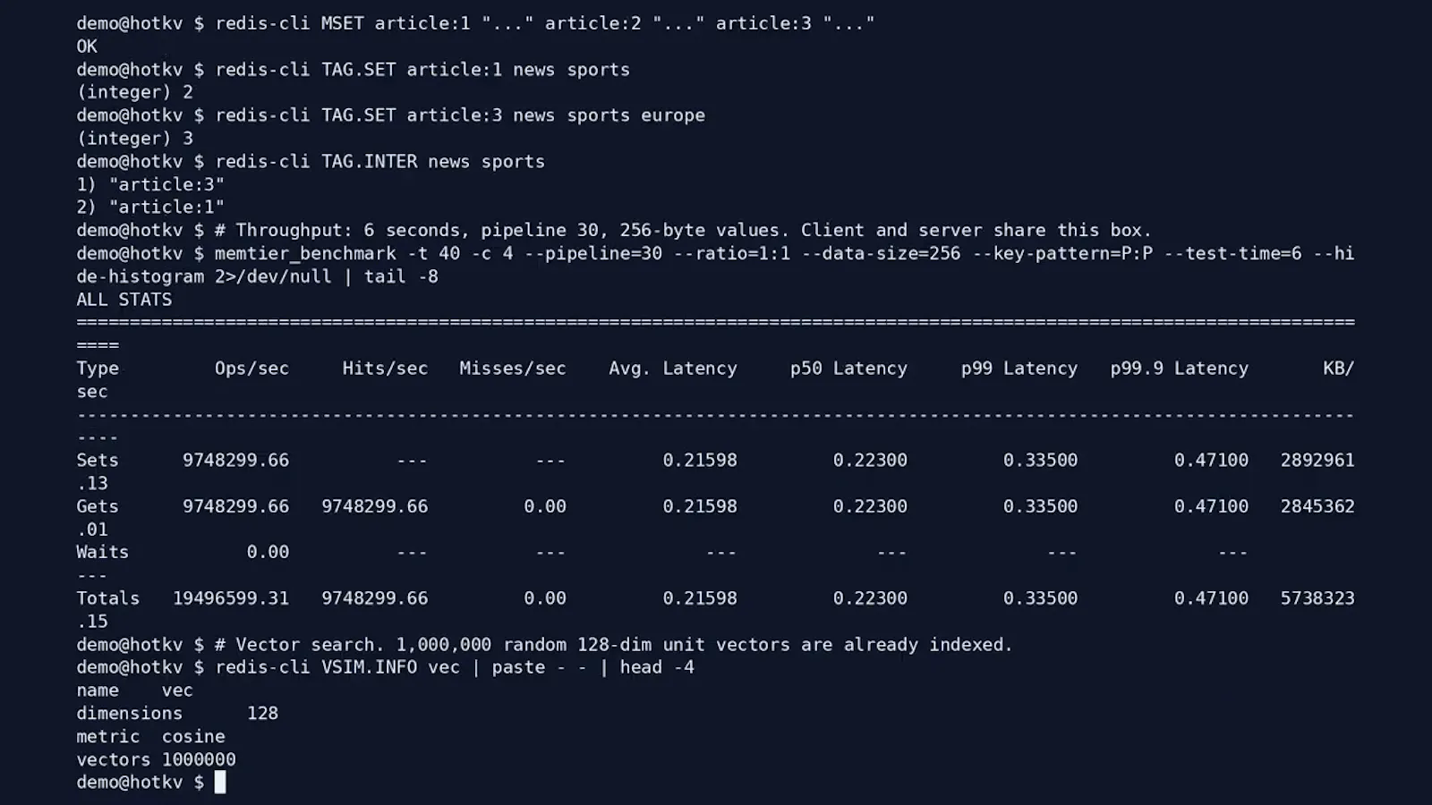 HotKV screenshot 1 (video preview)
