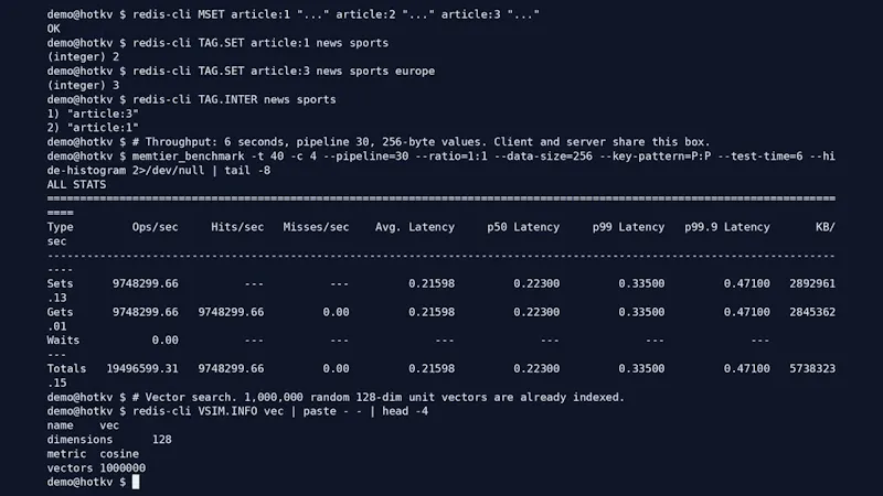 HotKV screenshot 1 (video preview)