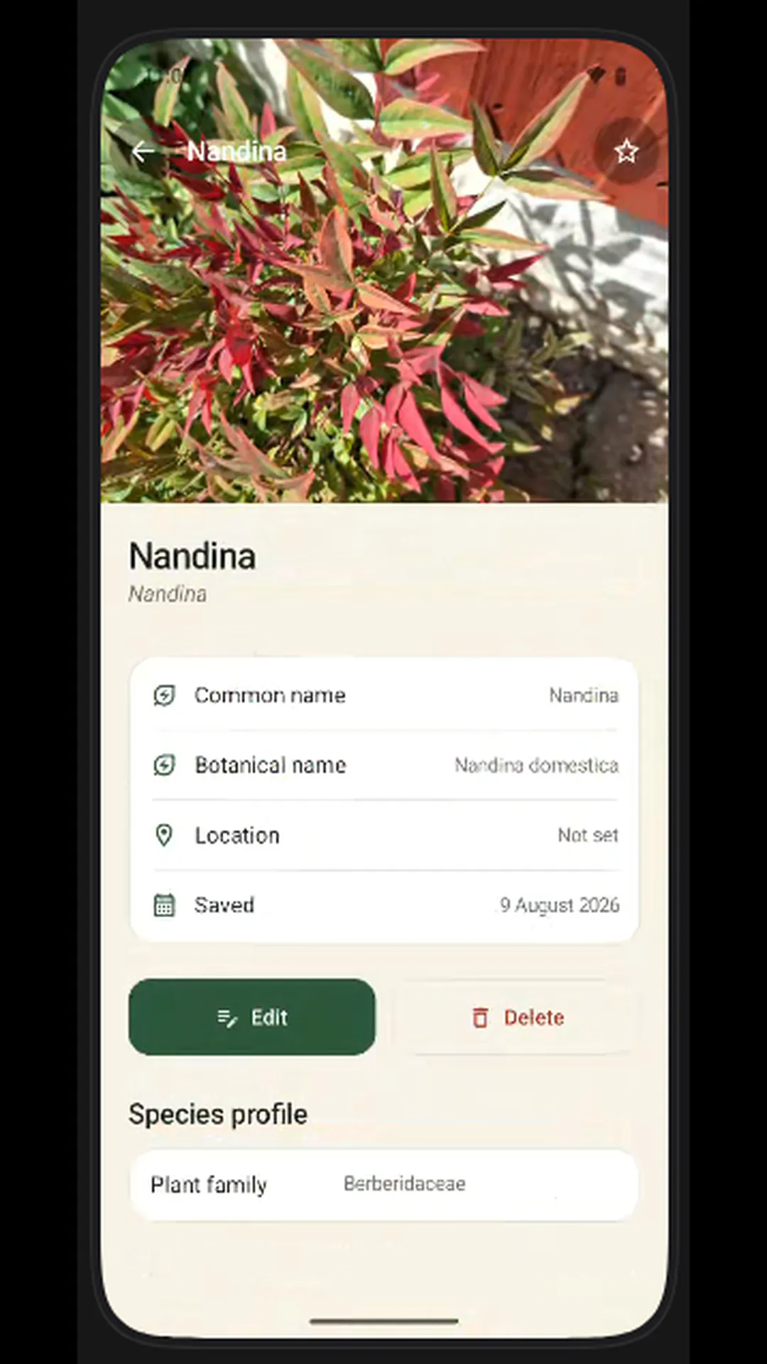 MyPlantLookup gallery image