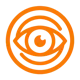 InsightScout