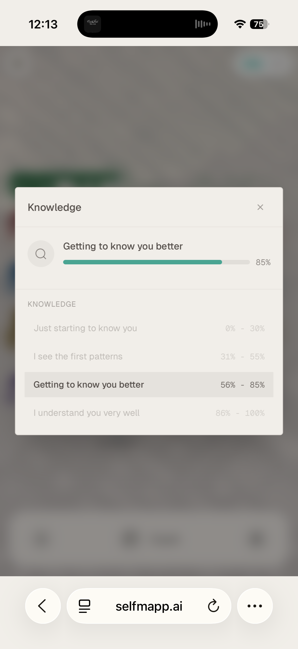 selfmapp.ai gallery image