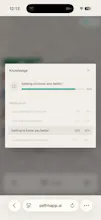 selfmapp.ai gallery image