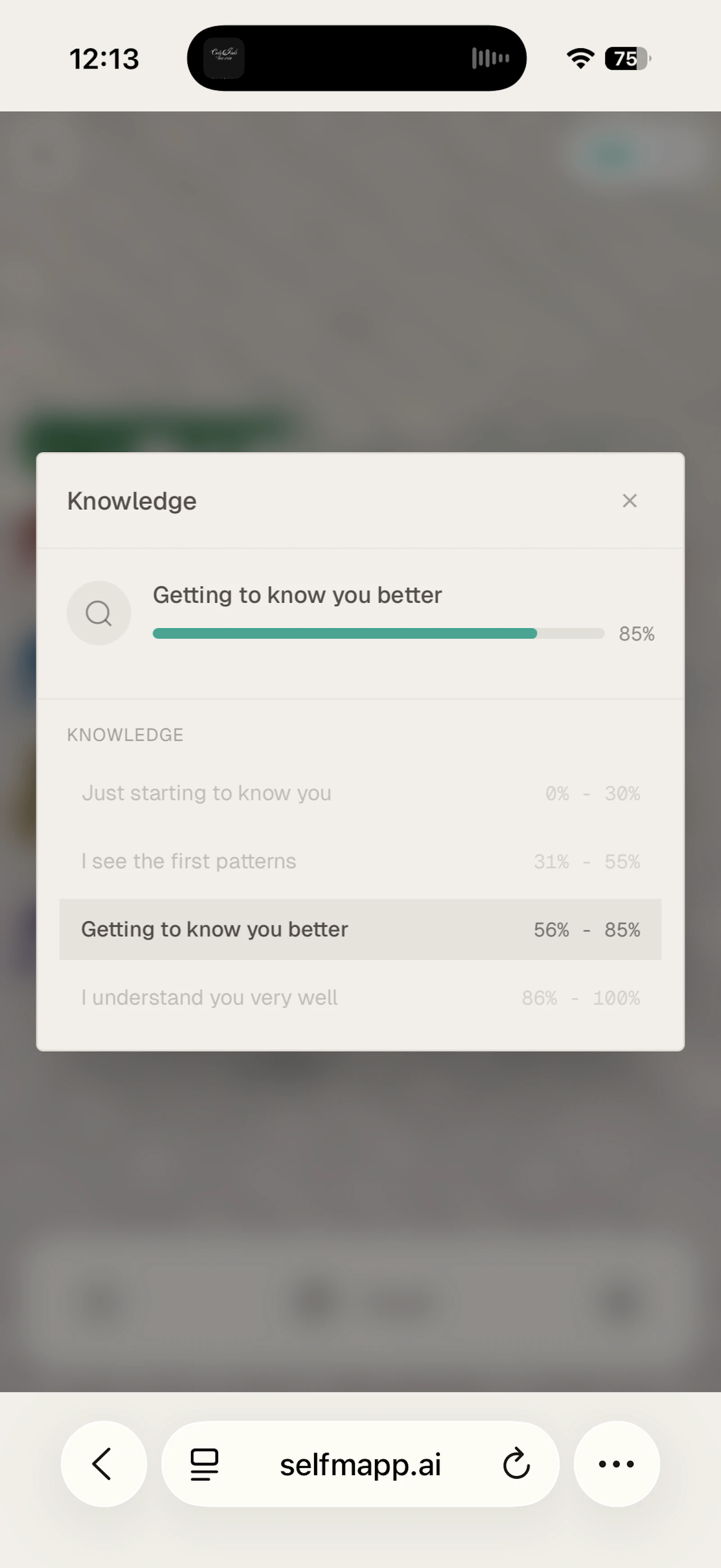 selfmapp.ai screenshot 7