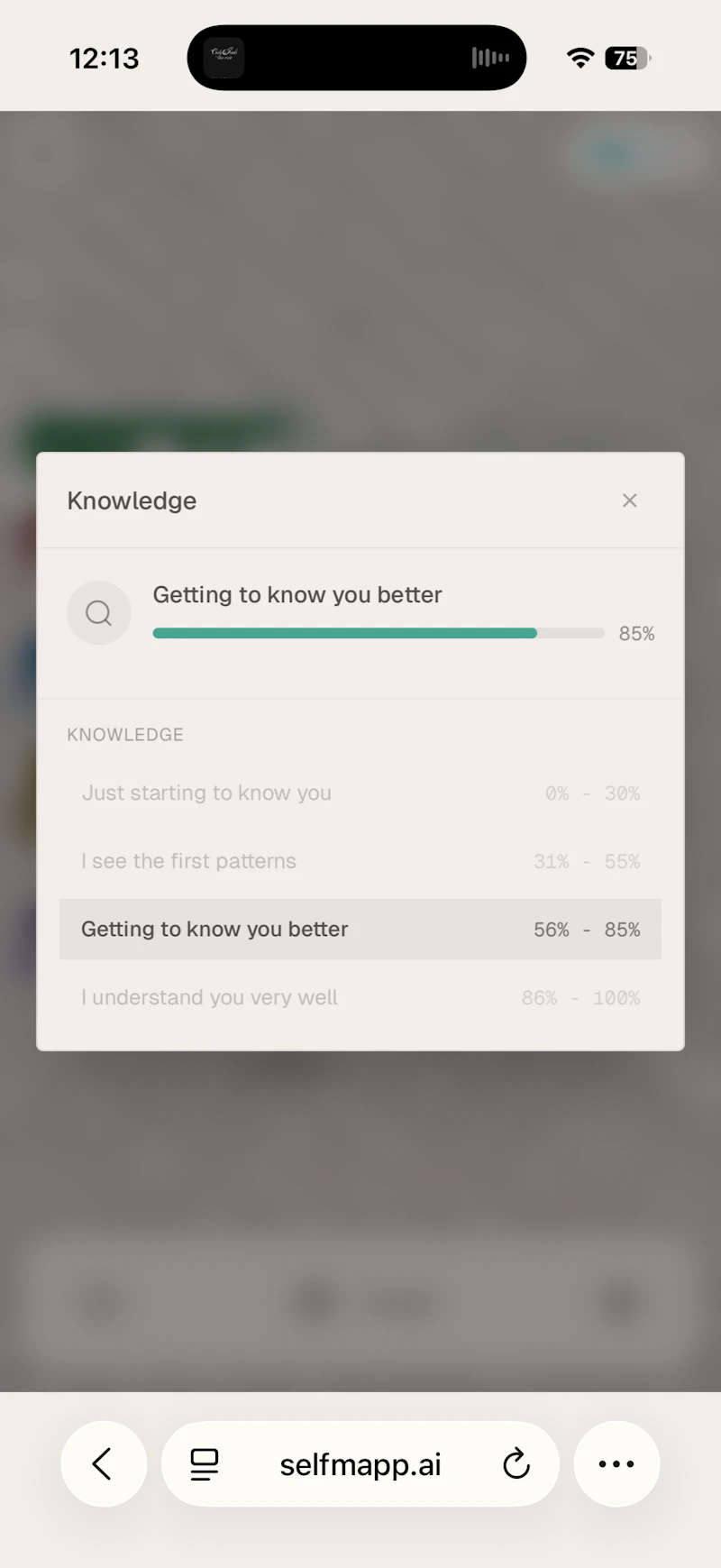 selfmapp.ai screenshot 7