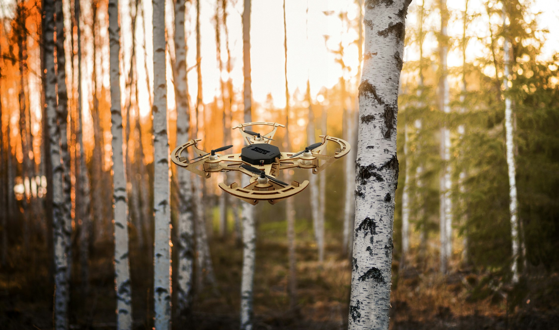 AeroWood gallery image