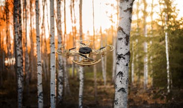 AeroWood gallery image