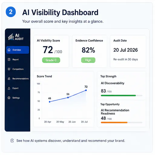 AI Visibility Audit gallery image
