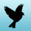 Sparrow Navigation & Live Map