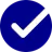 Web Audit