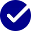 Web Audit