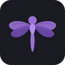DemoFly — Demos that record themselves
