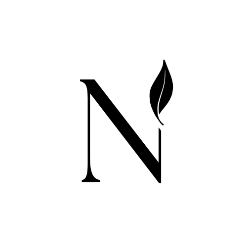 Nudge Social Dating