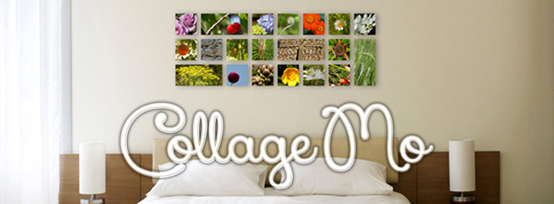 CollageMo gallery image