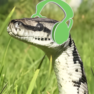 Dankmuzikk