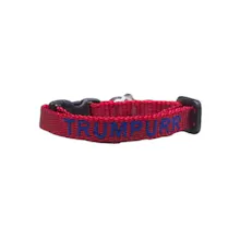 Personalized Safety Cat Collar gallery image