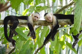 Costa Rica Hub gallery image