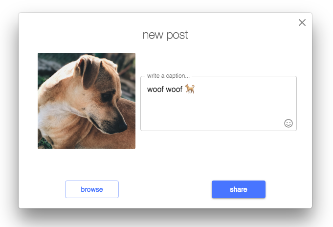 instashare gallery image