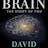 The Brain: The Story of You 